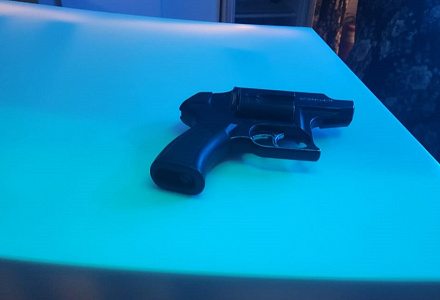 Пистолет изъят, доберман спасён, нарушения пресечены!